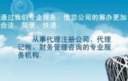 哪些纳税人不得认定为增值税一般纳税人？